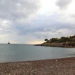Koka