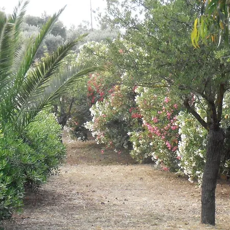 דירה Koka ארמיוני