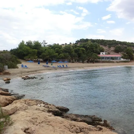 Koka